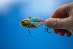 Berkley DEX Ripper 13 Berkley DEX Ripper -Berkley 1572667r 5